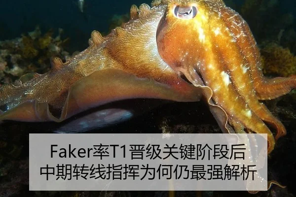 Faker率T1晋级关键阶段后中期转线指挥为何仍最强解析